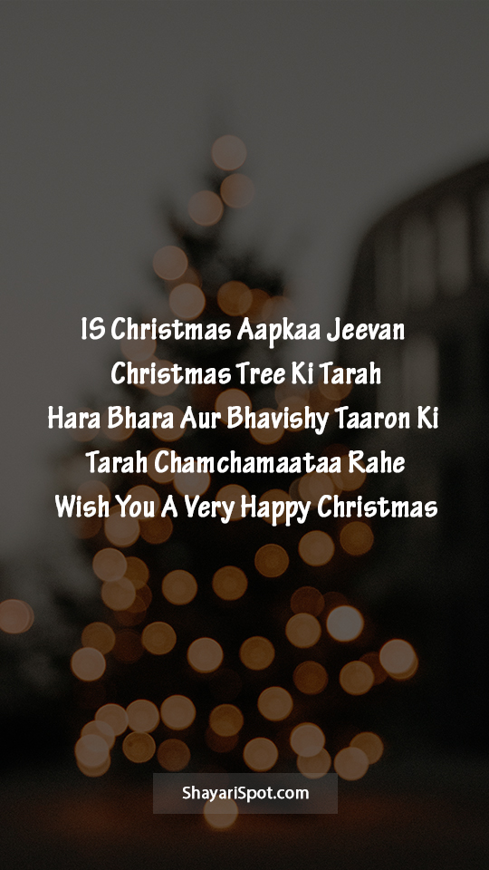 Christmas Tree - क्रिसमस ट्री - Christmas Shayari in English with Full Screen Image